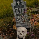THE LIFE AFTER DEATH.