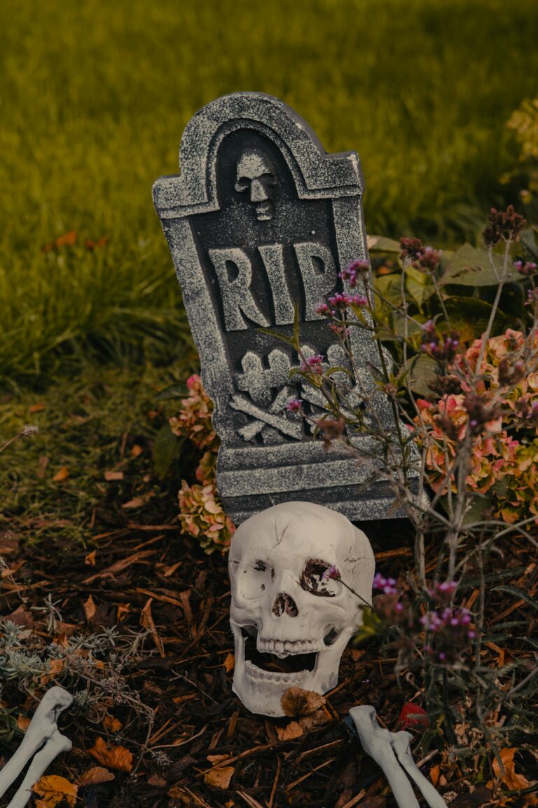 THE LIFE AFTER DEATH.